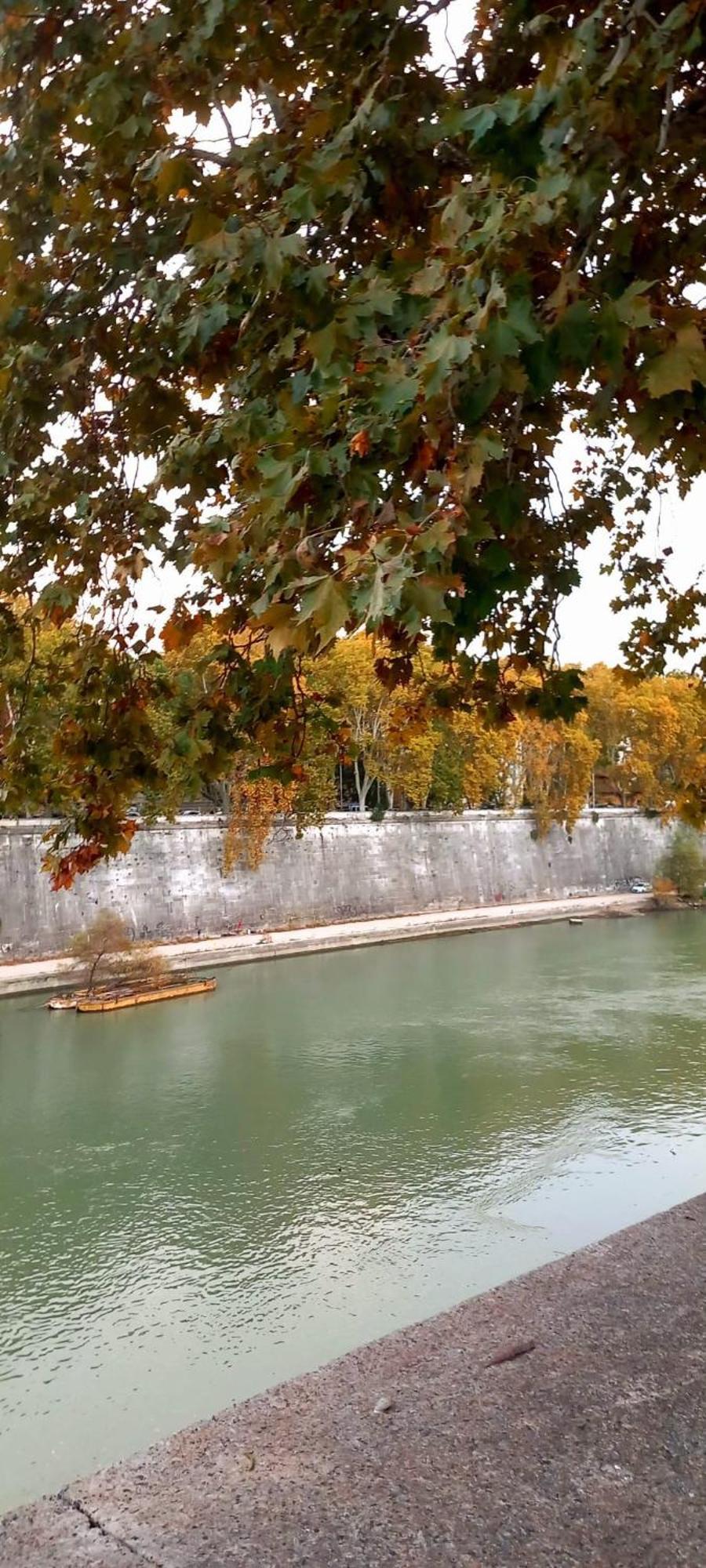Riversidemellini44 Gasthof